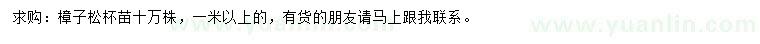 求購(gòu)1米以上樟子松
