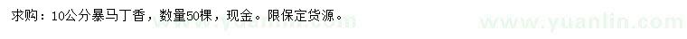 求購10公分暴馬丁香