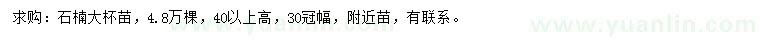 求購(gòu)高40公分以上石楠