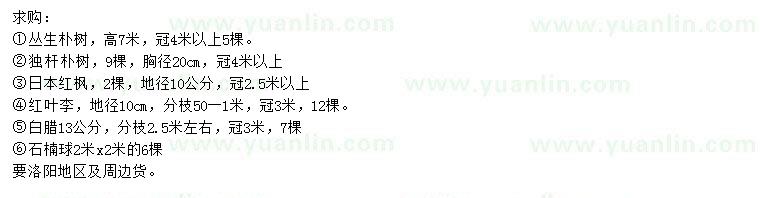 求購(gòu)叢生樸樹、日本紅楓、紅葉李等