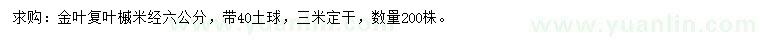 求購(gòu)米徑6公分金葉復(fù)葉槭