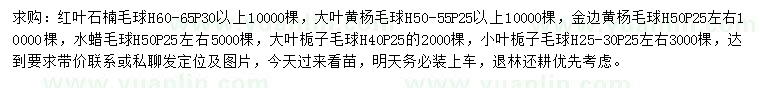 求購(gòu)紅葉石楠球、大葉黃楊球、金邊黃楊球等