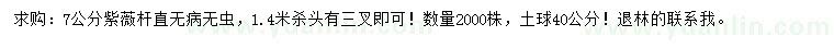 求購7公分紫薇