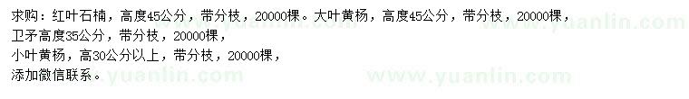 求購紅葉石楠、大葉黃楊、衛(wèi)矛等