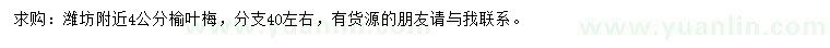 求購(gòu)4公分榆葉梅