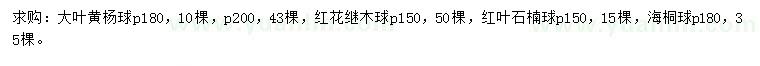 求購(gòu)大葉黃楊球、紅花繼木球、紅葉石楠球等