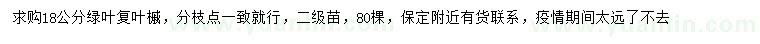 求購(gòu)18公分綠葉復(fù)葉槭