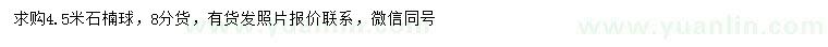 求購4.5米石楠球