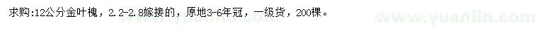 求購(gòu)12公分金葉槐