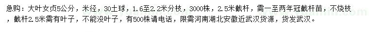 求購米徑5公分大葉女貞