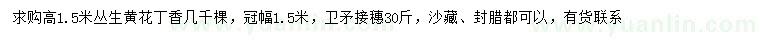 求購(gòu)高1.5米叢生黃花丁香、衛(wèi)矛接穗