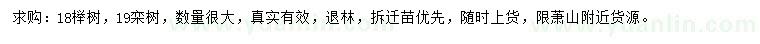 求購18公分櫸樹、19公分欒樹