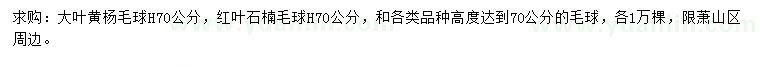 求購高70公分大葉黃楊球、紅葉石楠球