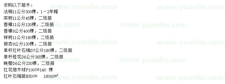 求購法桐、欒樹(shù)、香樟等