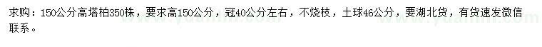 求購高150公分塔柏
