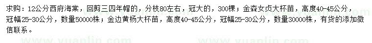 求購西府海棠、金森女貞、金邊黃楊