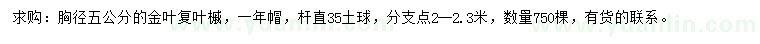 求購胸徑5公分金葉復葉槭