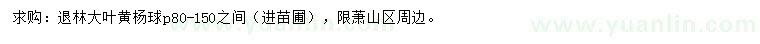求購冠80-150公分大葉黃楊球