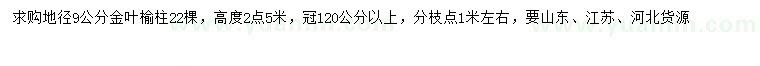求購(gòu)高2.5米金葉榆柱