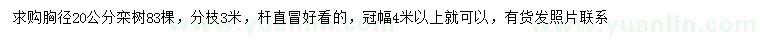 求購胸徑20公分欒樹