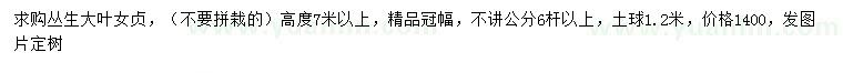 求購高7米以上叢生大葉女貞