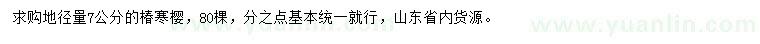 求購地徑7公分椿寒櫻