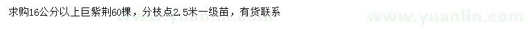 求購16公分以上巨紫荊