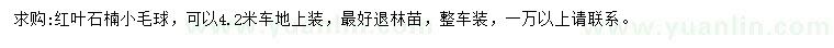 求購紅葉石楠球