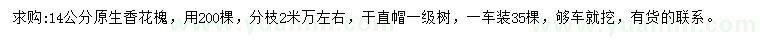 求購14公分香花槐