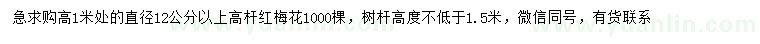 求購1米量12公分以上高桿紅梅