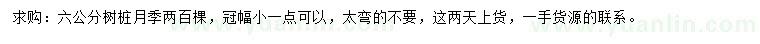 求購6公分樹樁月季