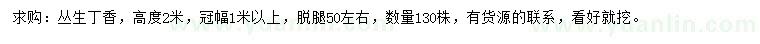 求購高2米叢生丁香