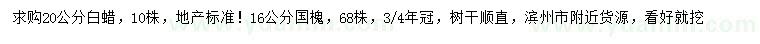求購20公分白蠟、16公分國槐