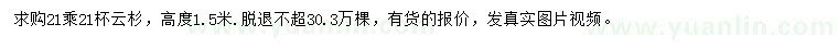 求購高1.5米云杉