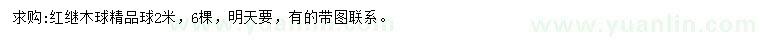 求購2米紅繼木球