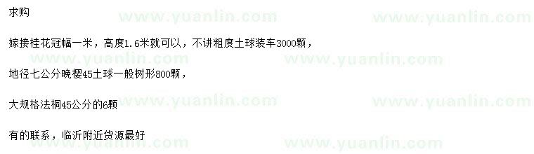求購(gòu)桂花、晚櫻、法桐