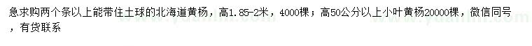 求購(gòu)高1.85-2米北海道黃楊、高50公分以上小葉黃楊