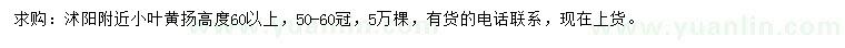 求購(gòu)高60公分以上小葉黃揚(yáng)