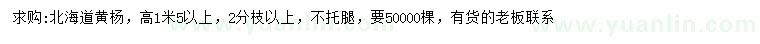 求購高1.5米以上北海道黃楊