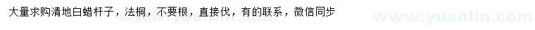 求購(gòu)白蠟桿子、法桐