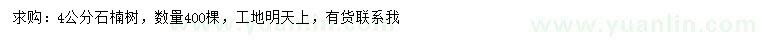 求購4公分石楠樹