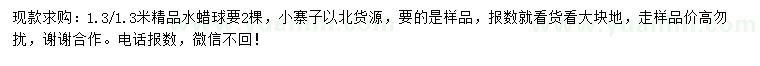 求購1.3米高水蠟球