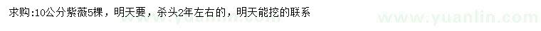 求購(gòu)10公分紫薇