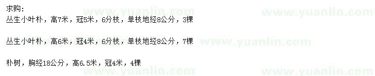 求購高6、7米叢生小葉樸、胸經(jīng)18公分樸樹