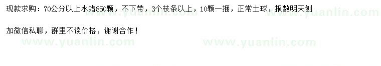 求購(gòu)70公分以上水蠟