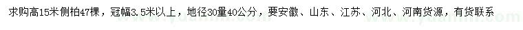 求購30量40公分側(cè)柏