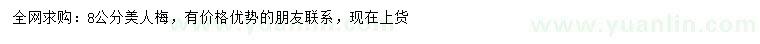 求購8公分美人梅