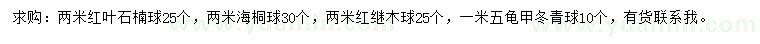 求購紅葉石楠球、海桐球、紅繼木球等