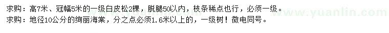 求購高7米白皮松、地徑10公分絢麗海棠