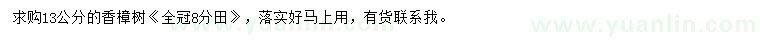 求購13公分香樟樹